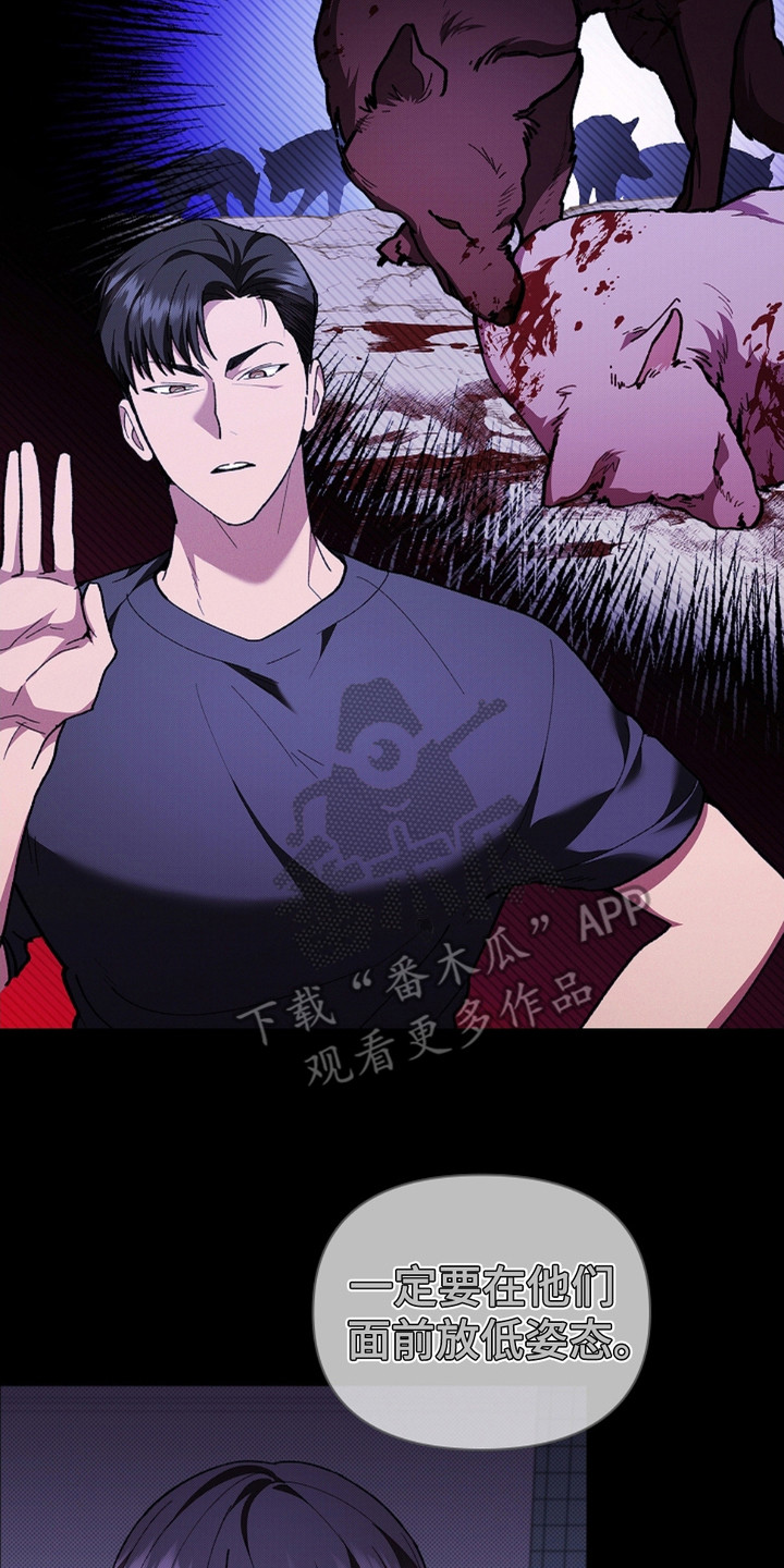 小白狗奇遇记200集漫画,第14章：寸步不离4图