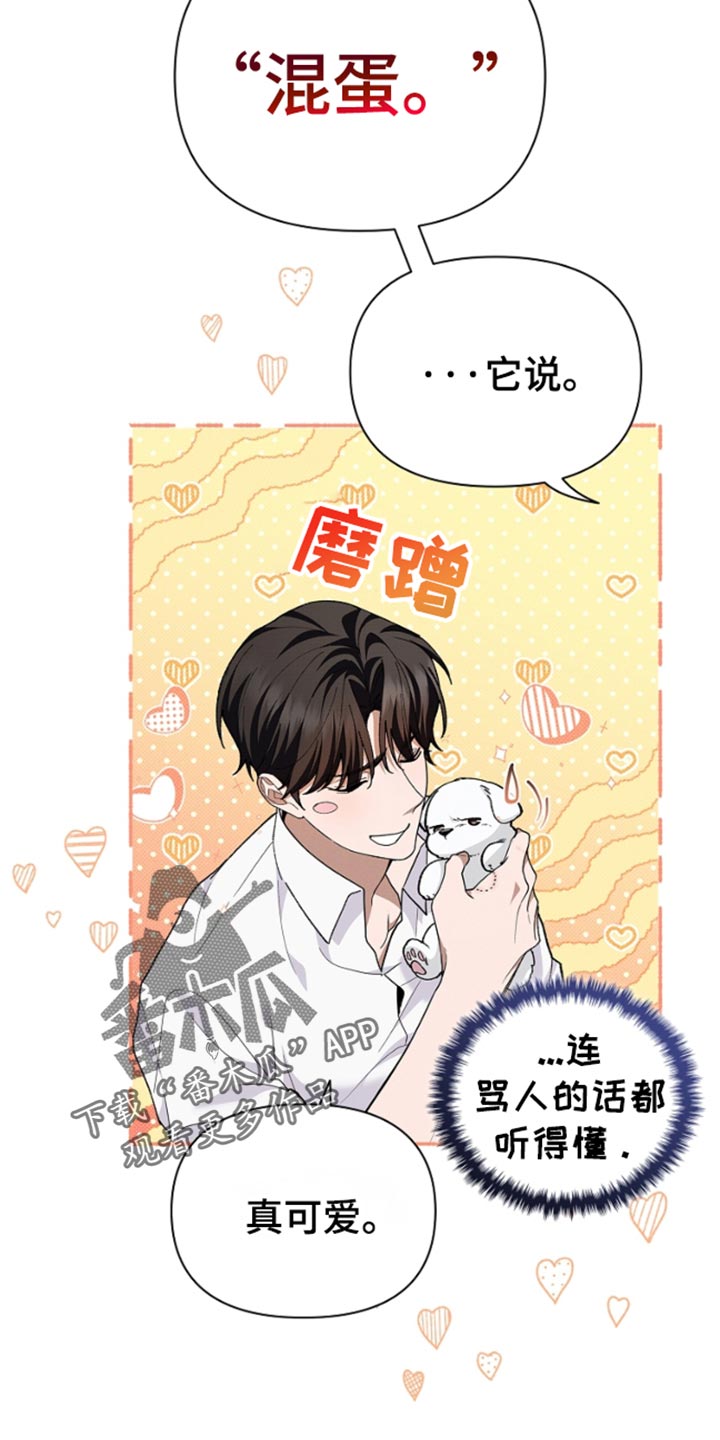 小白狗奇遇记小说叫什么名字漫画,第27章：我只喜欢烤大虾5图