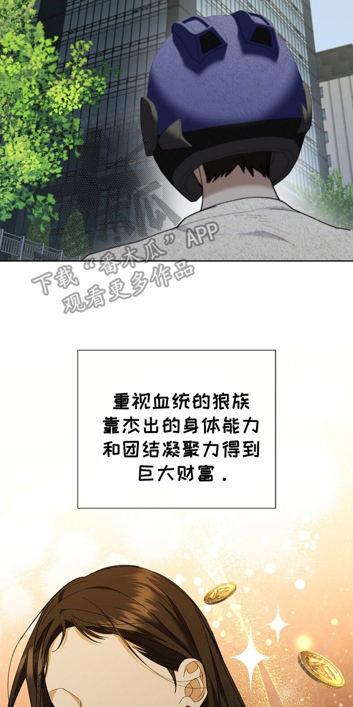 番木瓜免费版漫画怎么下载漫画,第5章：最后一票3图