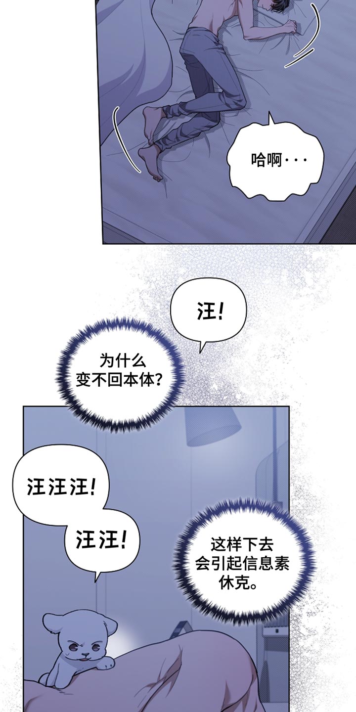 小白狗奇遇记最新一期漫画,第34章：你也会喜欢我了吧？4图