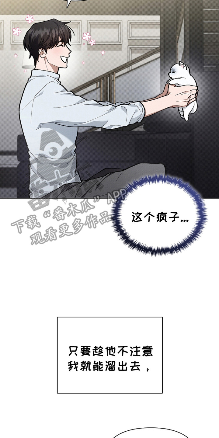 小白狗奇遇记小说叫什么名字漫画,第14章：寸步不离5图