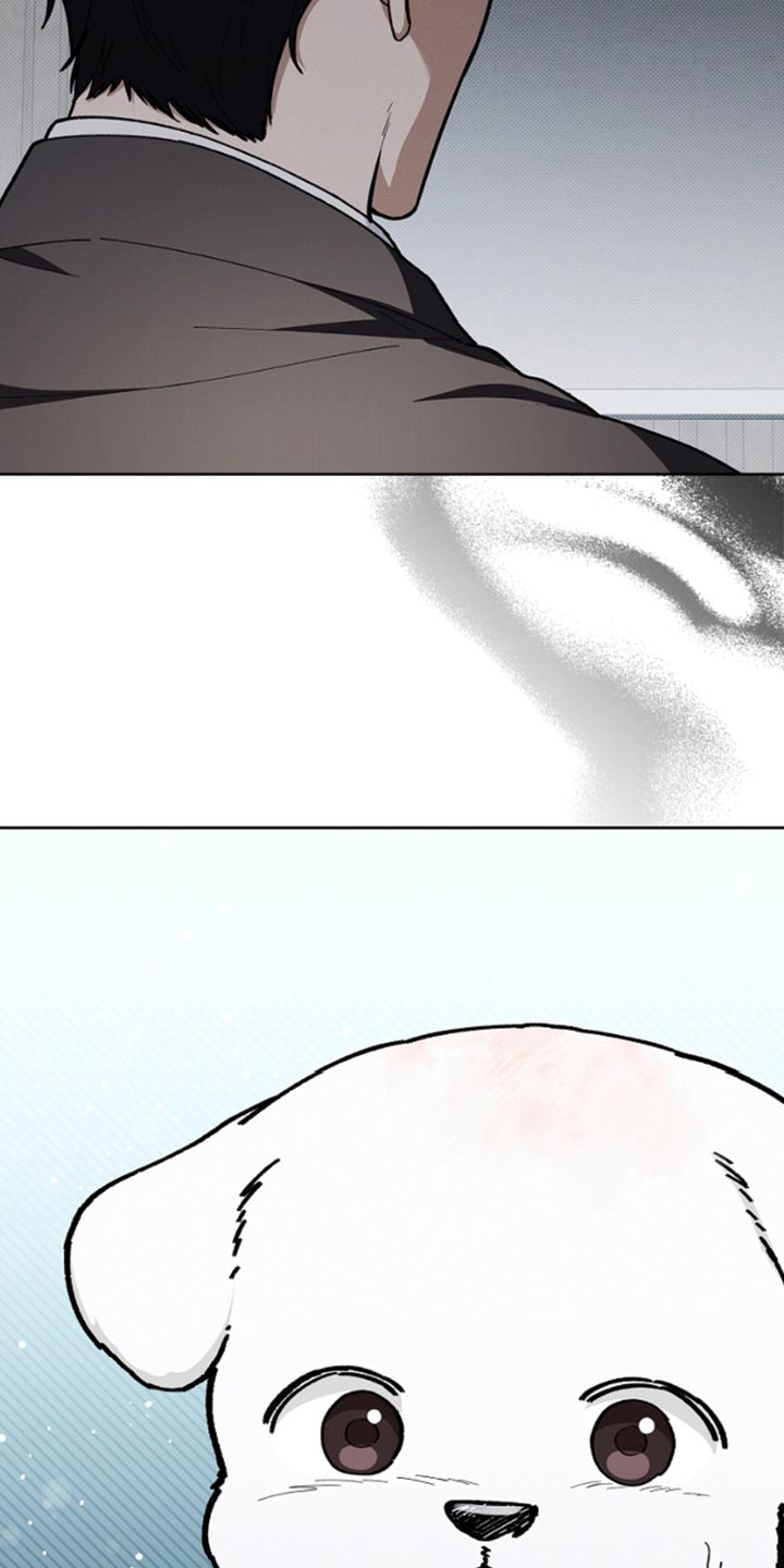 漫蛙漫画app下载官方免费漫画,第29章：监视者5图