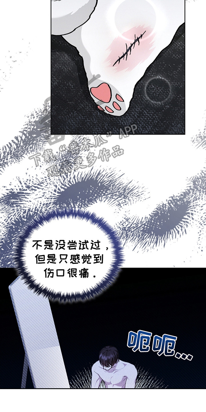 小白狗奇遇记19漫画,第20章：恢复很快2图