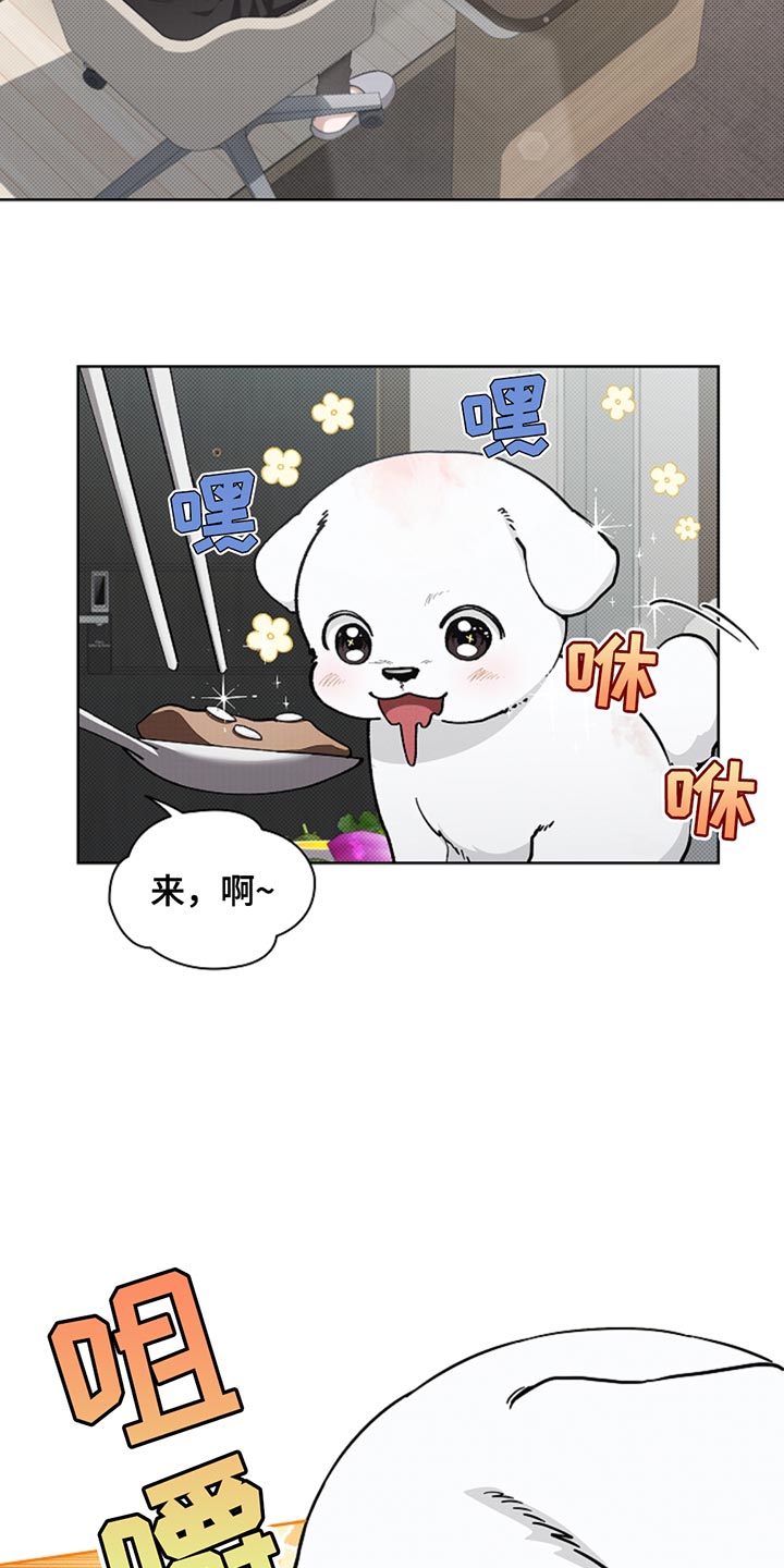 小白狗奇遇记免费漫画下拉式看漫画漫画,第33章：亲爱的3图