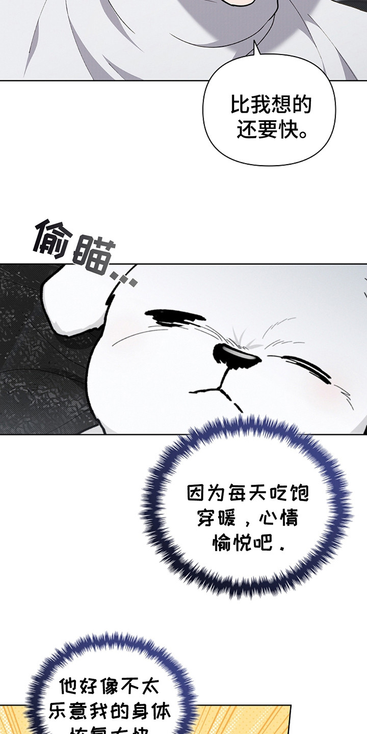 小白狗奇遇记200集漫画,第20章：恢复很快5图