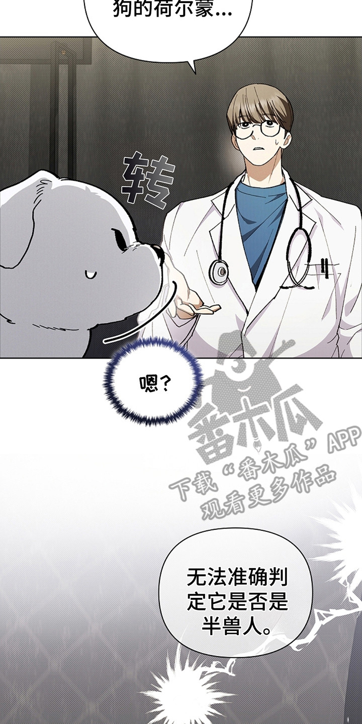 小白狗奇遇记动漫大结局漫画,第10章：治疗5图