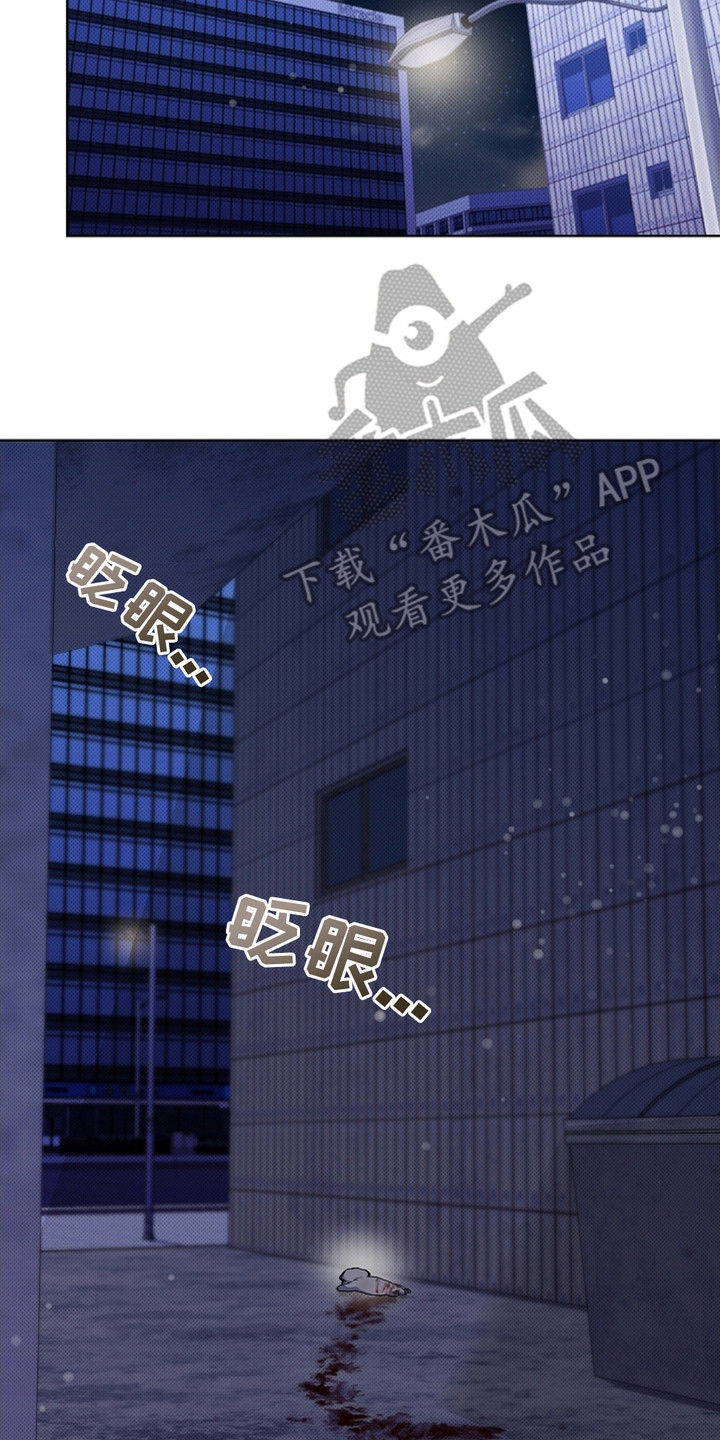 《小白狗奇遇记》剧情漫画,第9章：奄奄一息4图
