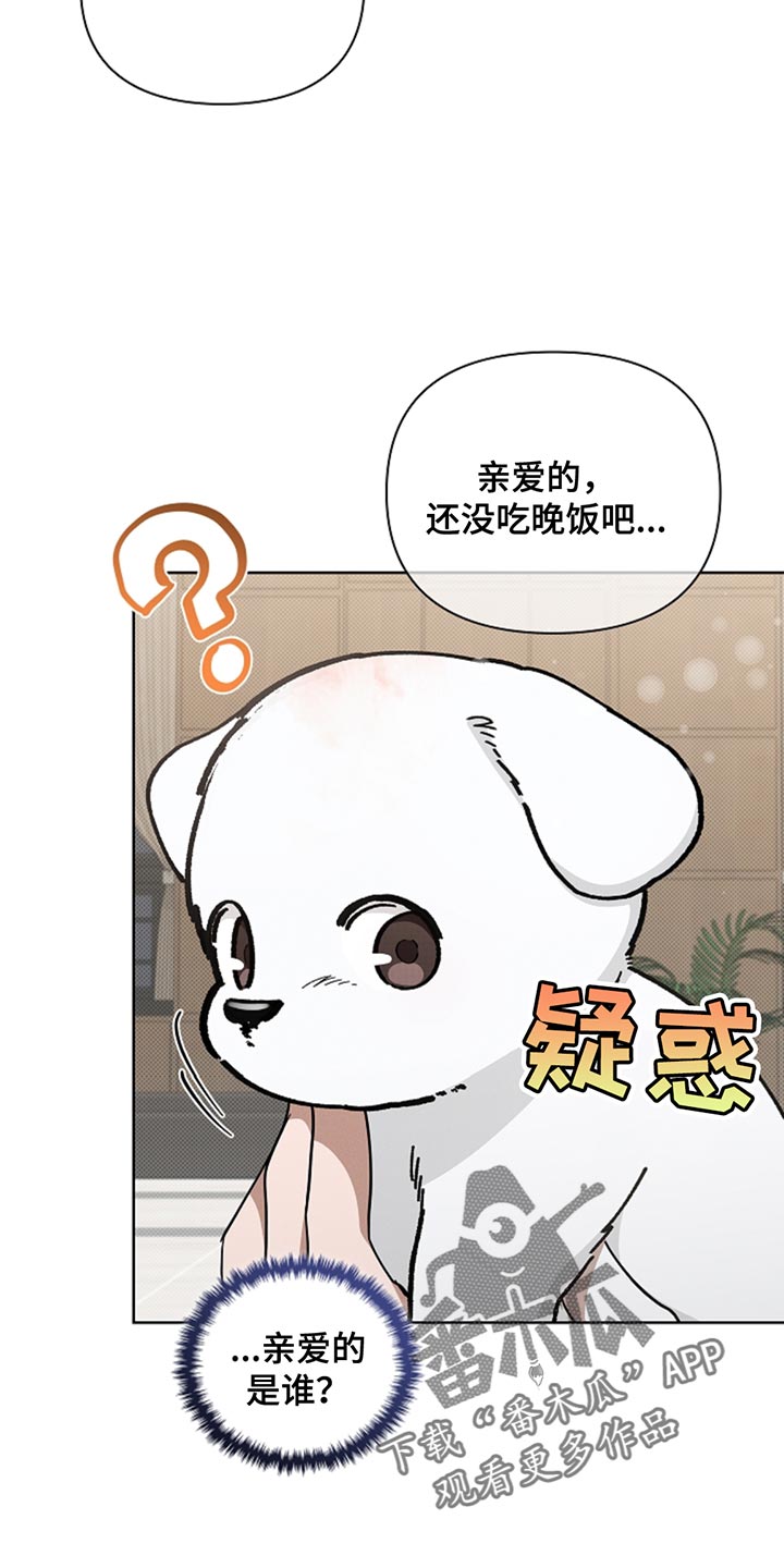 小白狗奇遇记免费漫画下拉式看漫画漫画,第33章：亲爱的1图