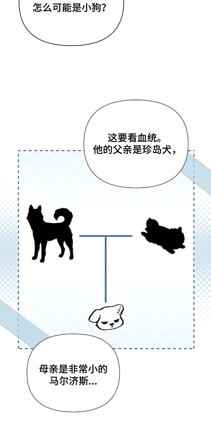 小白狗奇遇记香香叫什么漫画,第31章：我猜对了3图