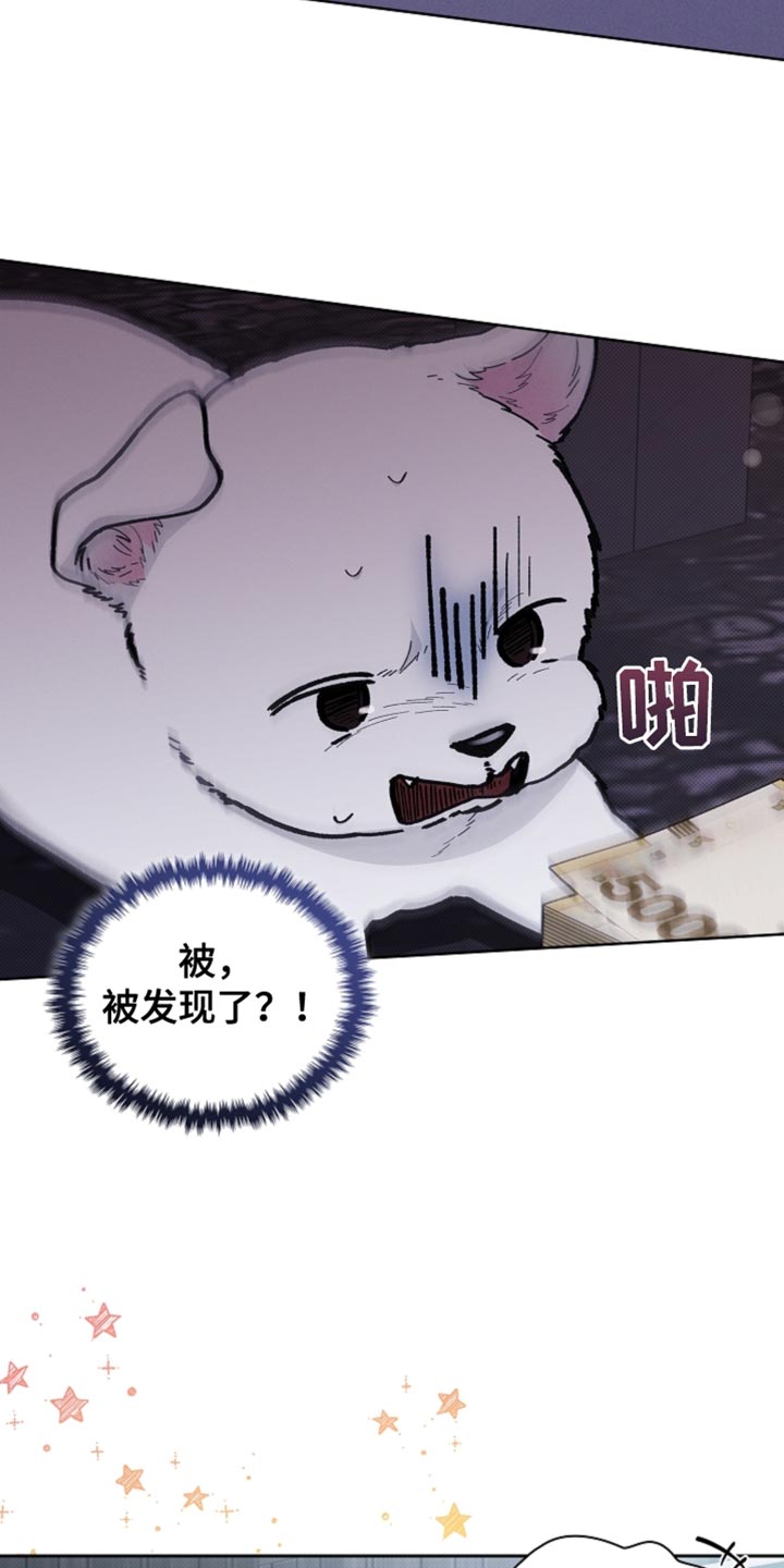 番木瓜免费版漫画怎么下载漫画,第25章：别回来了5图