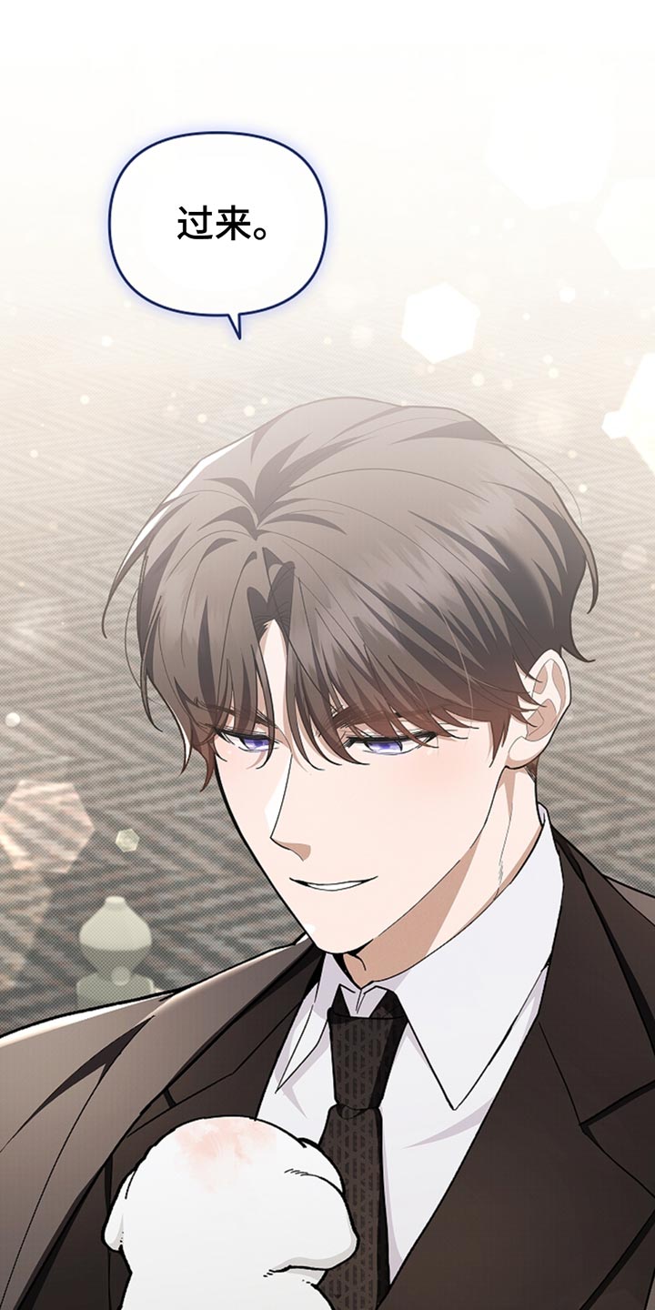 小白狗奇遇记权西城漫画,第30章：别垂头丧气4图