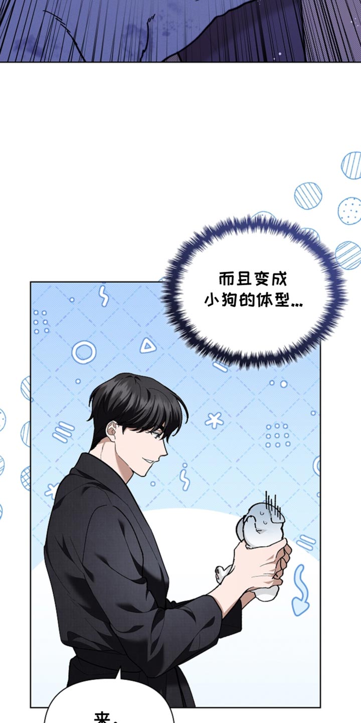 《小白狗奇遇记》剧情漫画,第25章：别回来了5图