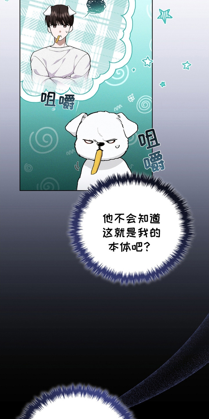 番木瓜免费版漫画怎么下载漫画,第4章：小零食1图