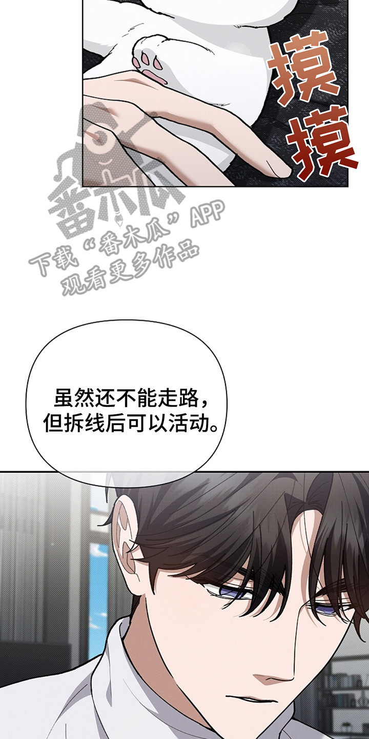 小白狗奇遇记200集漫画,第20章：恢复很快4图