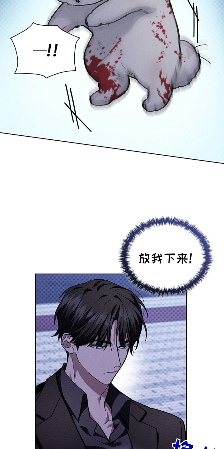 《小白狗奇遇记》剧情漫画,第9章：奄奄一息2图