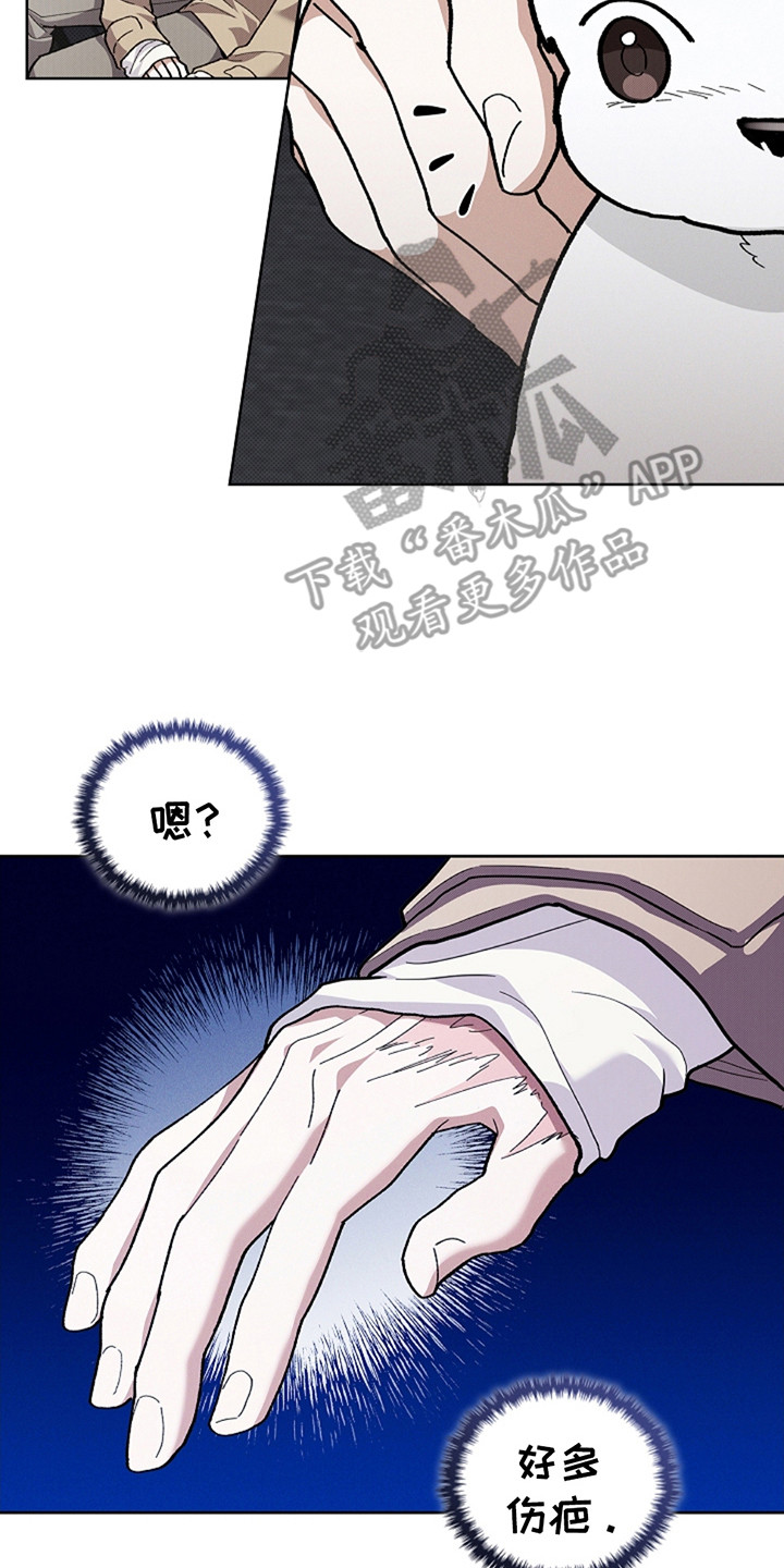 《小白狗奇遇记》剧情漫画,第23章：姐姐3图