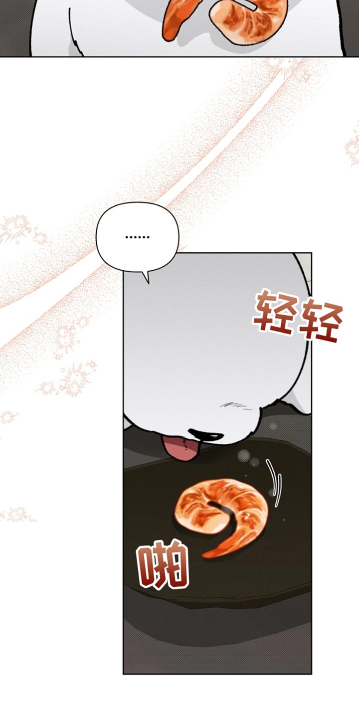 小白狗奇遇记漫画,第28章：有点可怜1图