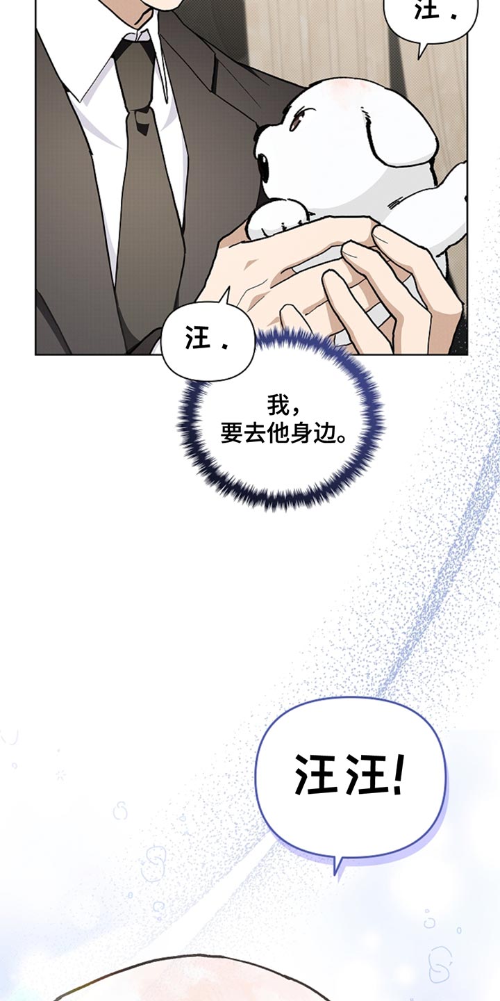 小白狗奇遇记香香叫什么漫画,第30章：别垂头丧气5图