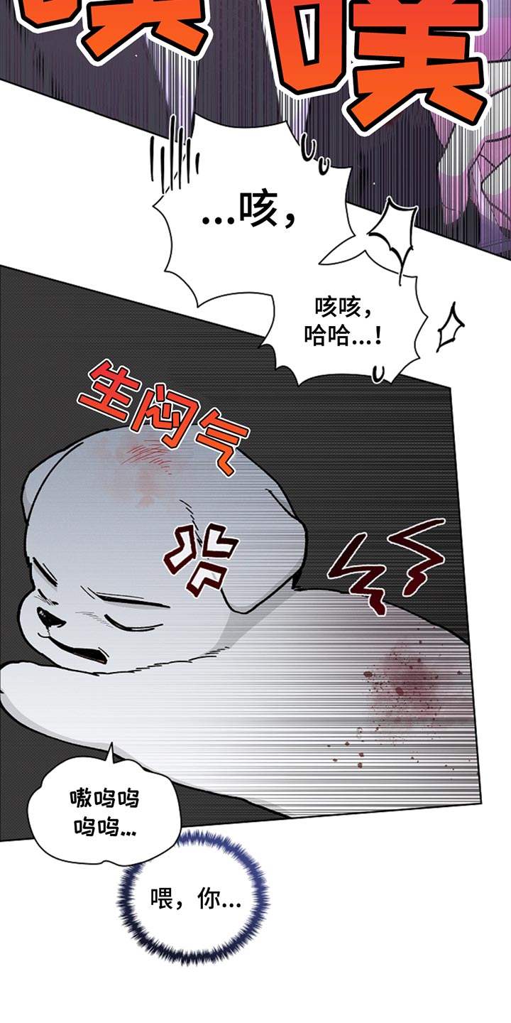 小白狗奇遇记200集漫画,第30章：别垂头丧气4图