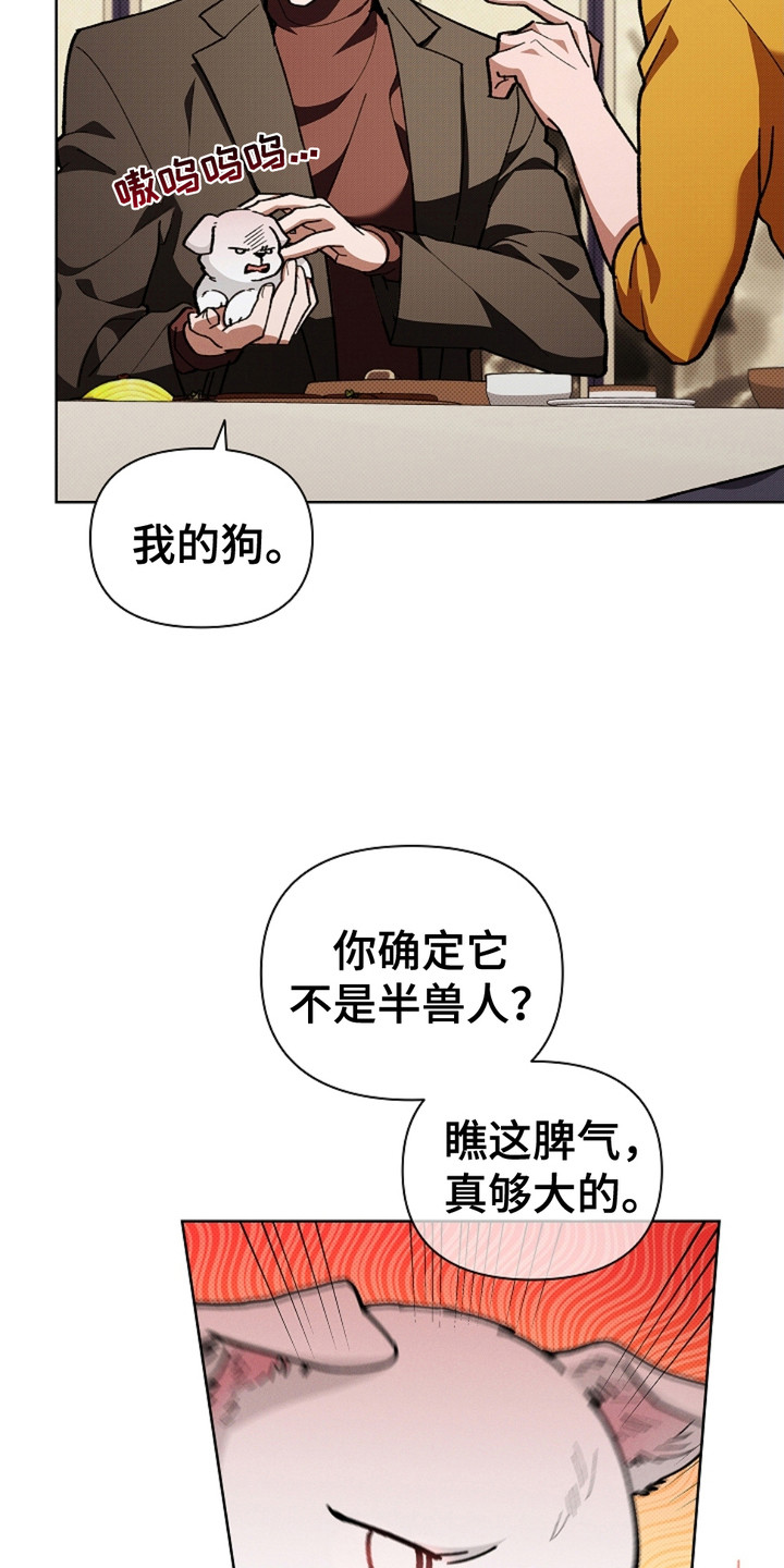 小白狗头漫画,第16章：愤怒1图