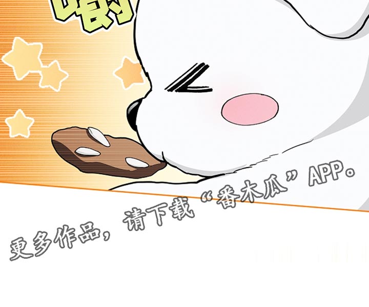 小白狗奇遇记免费漫画下拉式看漫画漫画,第33章：亲爱的4图