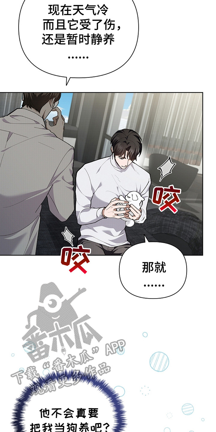 小白狗奇遇记19漫画,第20章：恢复很快5图