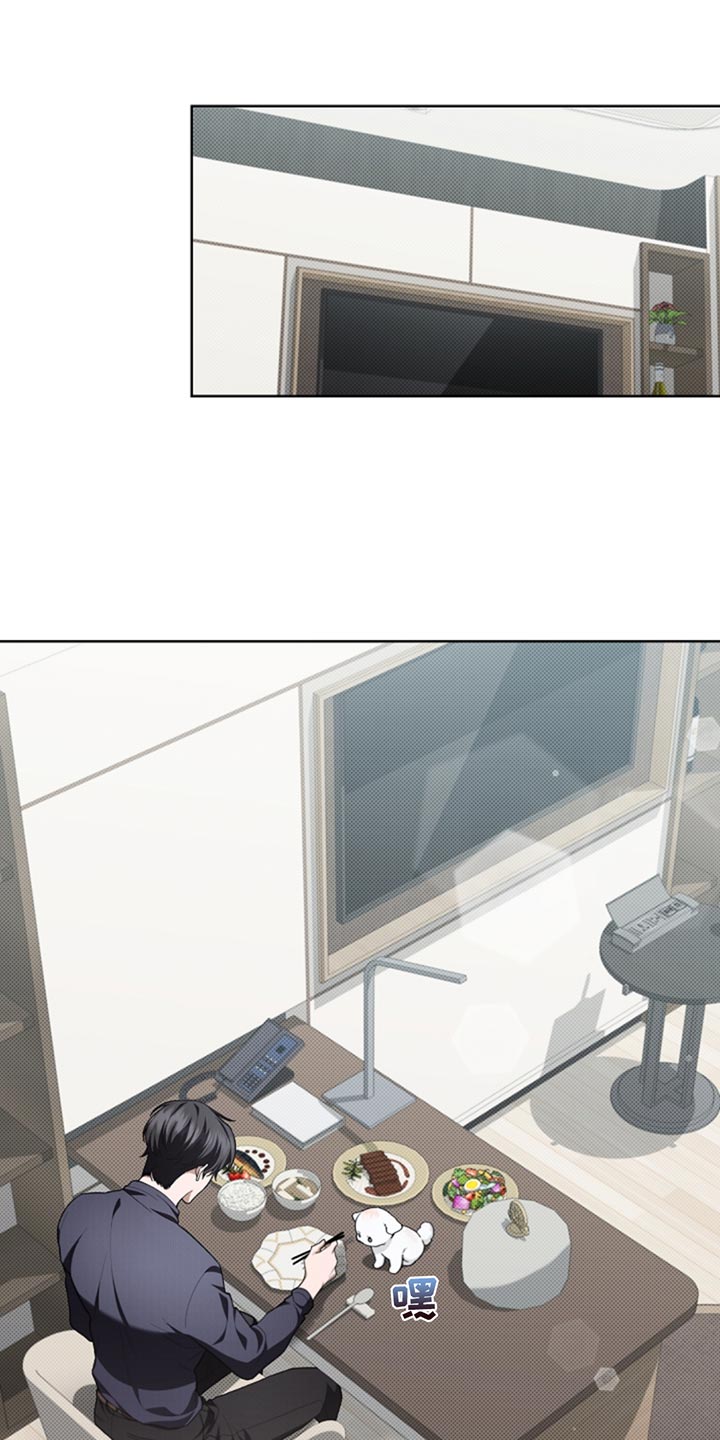 小白狗奇遇记免费漫画下拉式看漫画漫画,第33章：亲爱的2图