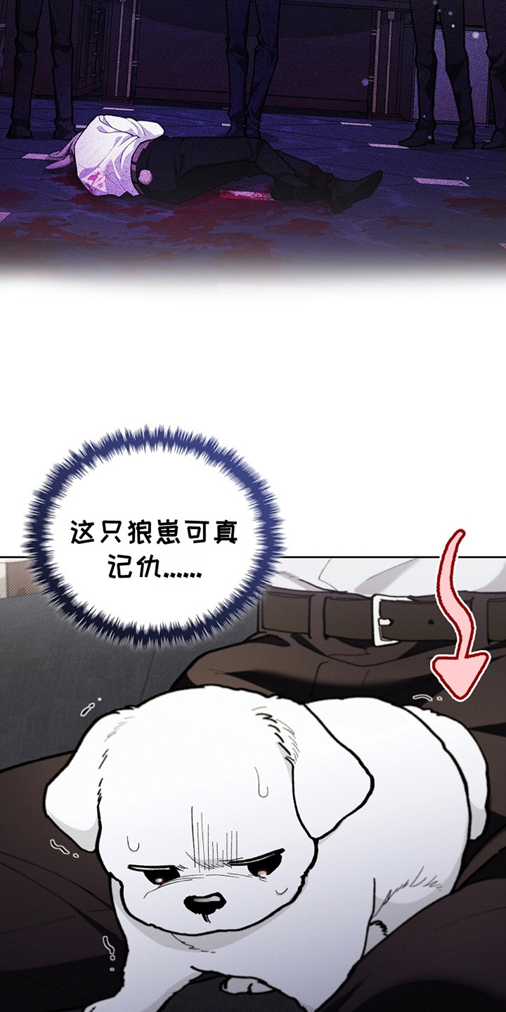 漫蛙漫画app下载官方免费漫画,第13章：记仇1图