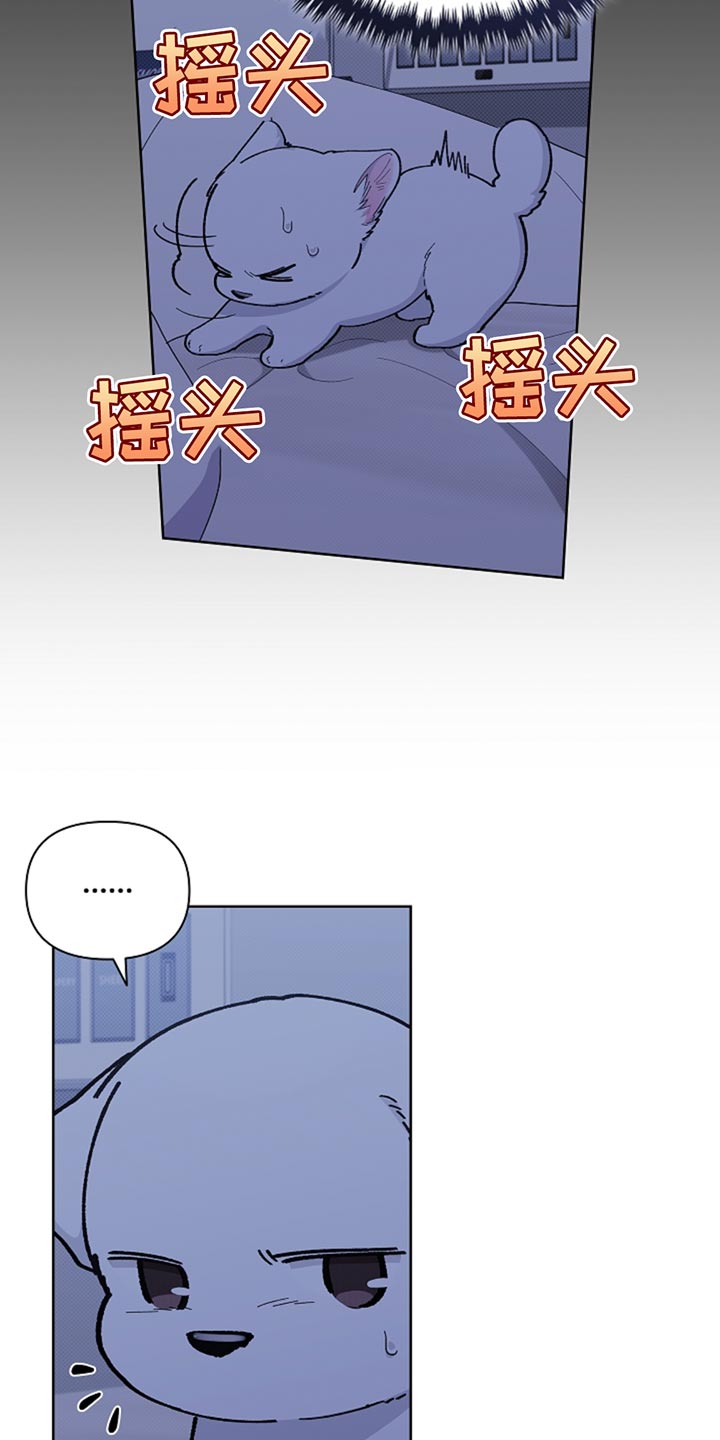 小白狗奇遇记最新一期漫画,第34章：你也会喜欢我了吧？1图