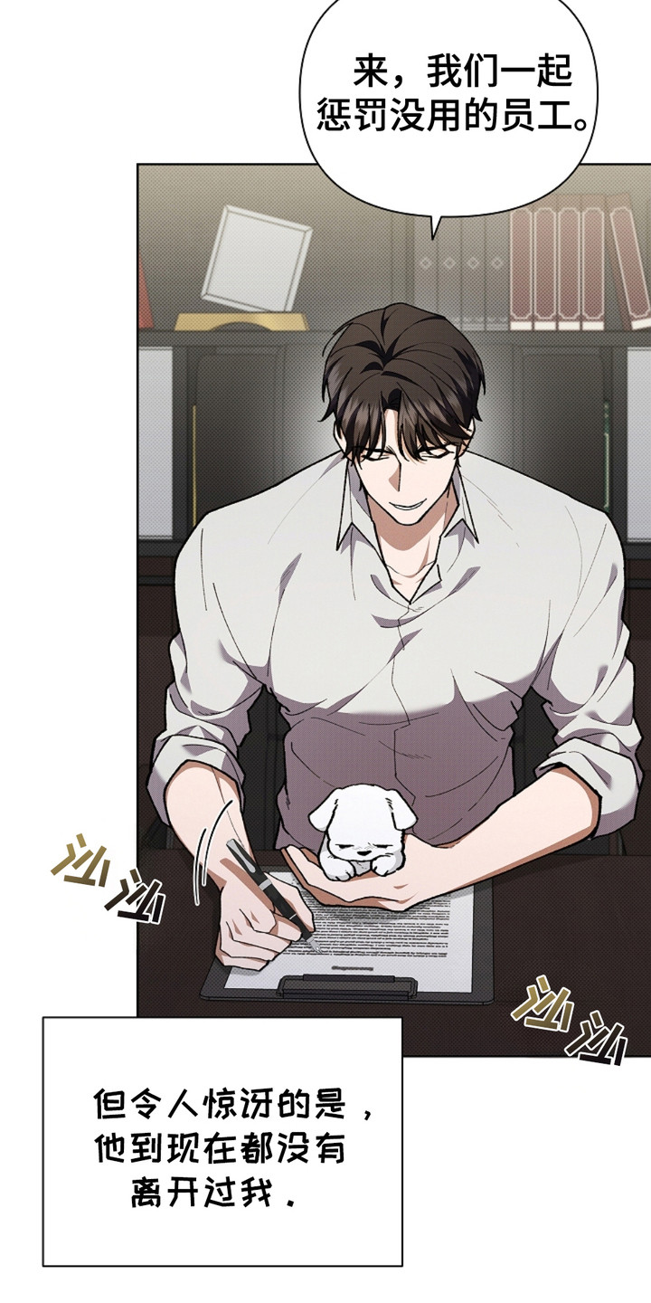 小白狗奇遇记小说叫什么名字漫画,第14章：寸步不离1图