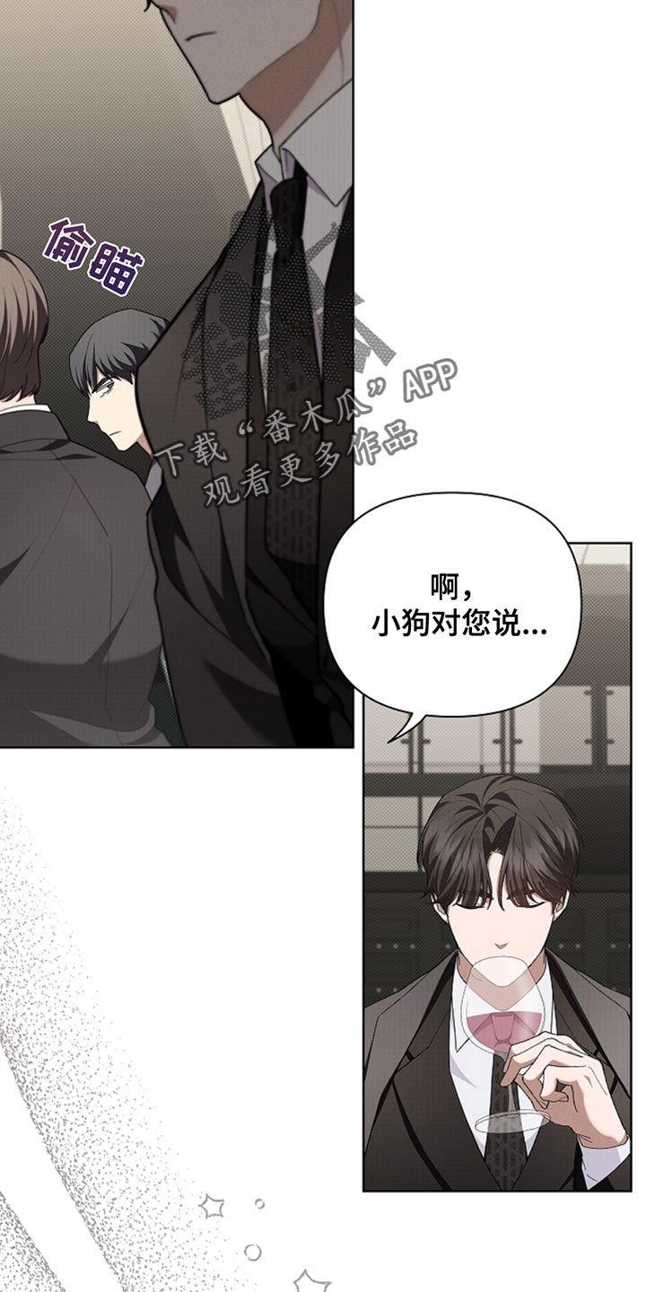 小白狗奇遇记200集漫画,第30章：别垂头丧气2图