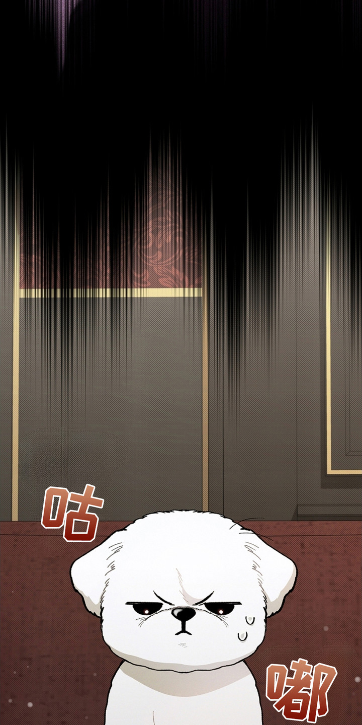 番木瓜免费版漫画怎么下载漫画,第4章：小零食4图