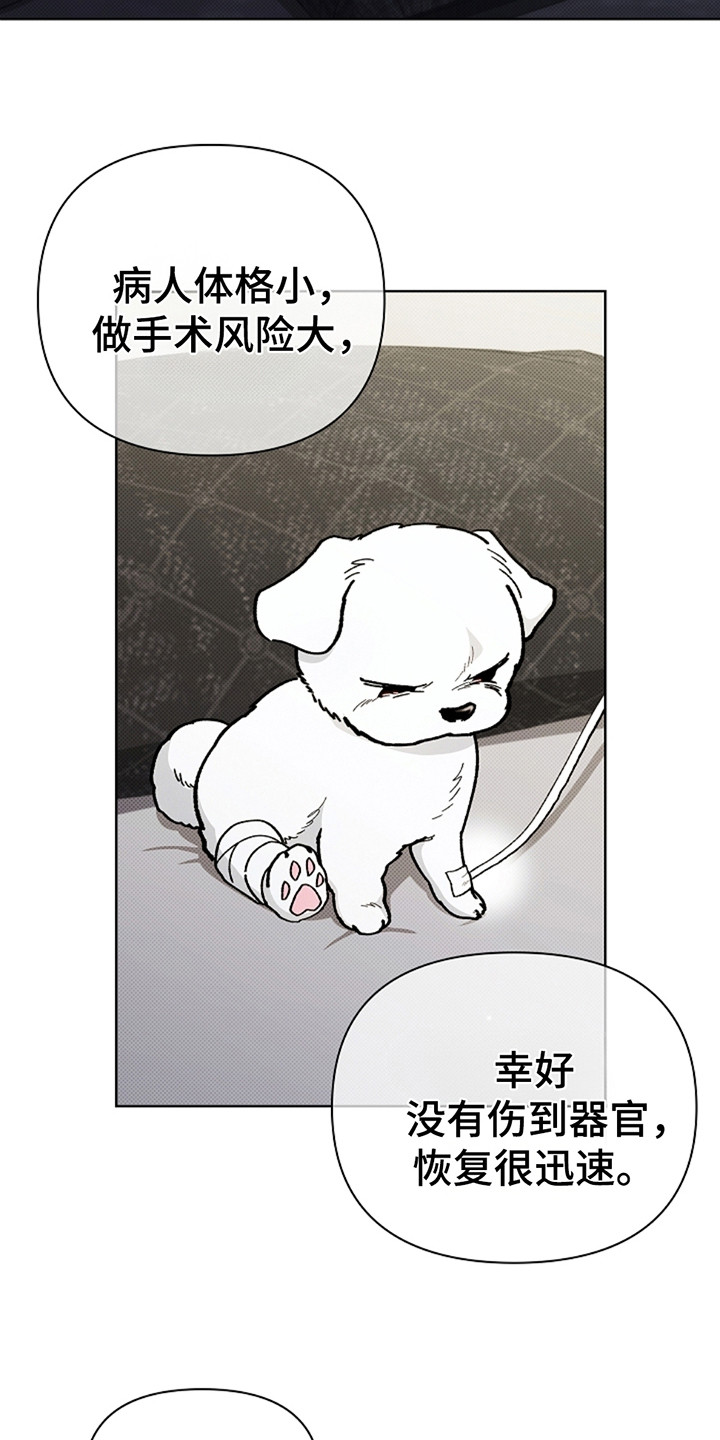 小白狗奇遇记动漫大结局漫画,第10章：治疗3图