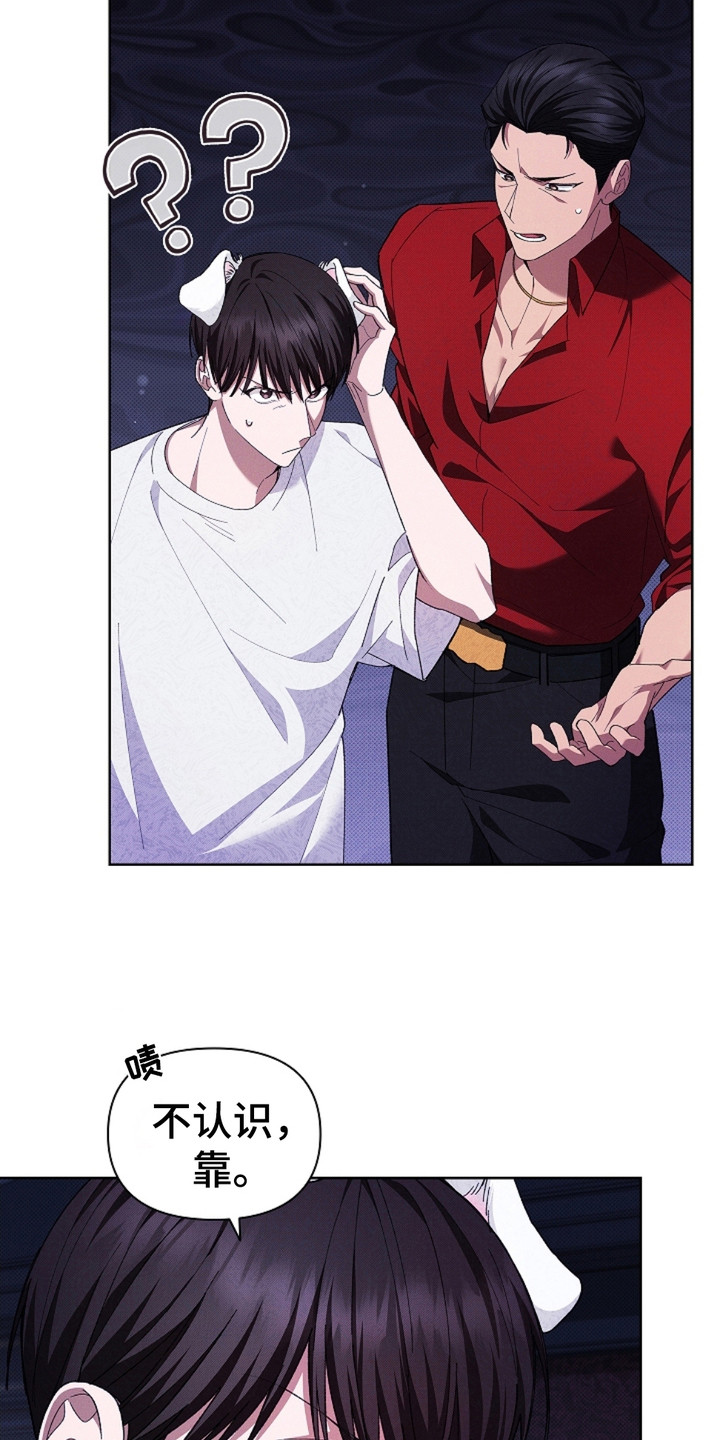 漫蛙漫画app下载官方免费漫画,第3章：传闻5图