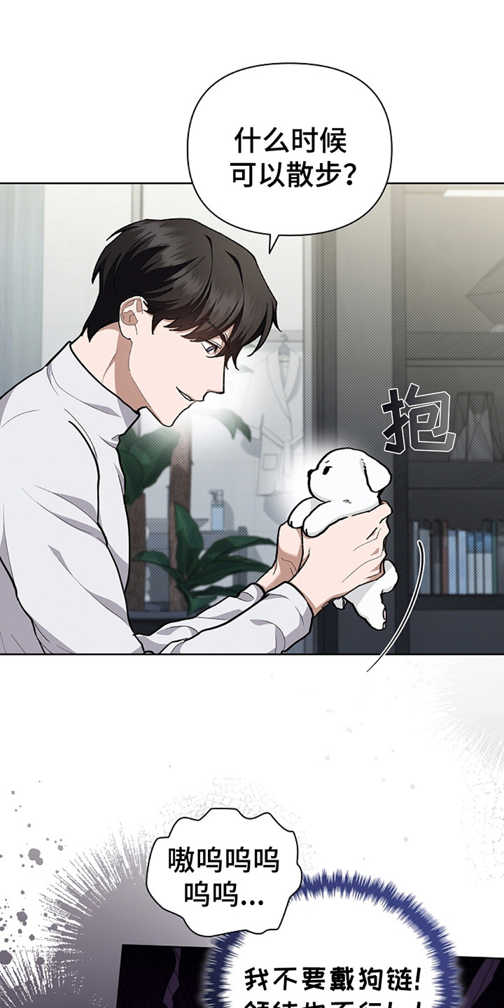 小白狗奇遇记19漫画,第20章：恢复很快3图