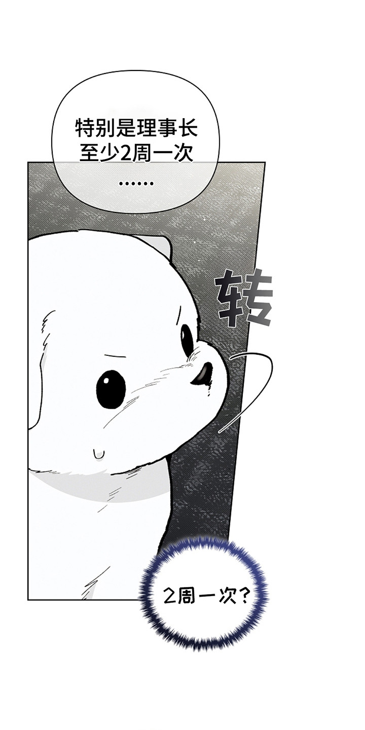 小白狗介绍漫画,第21章：荷尔蒙5图