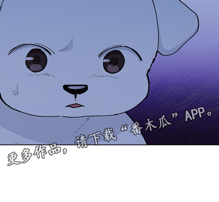 小白狗奇遇记香香叫什么漫画,第34章：你也会喜欢我了吧？2图