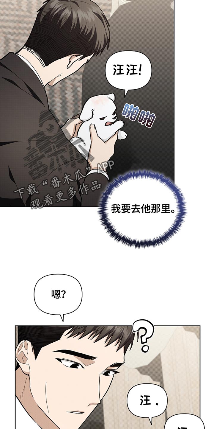 小白狗奇遇记香香叫什么漫画,第30章：别垂头丧气4图