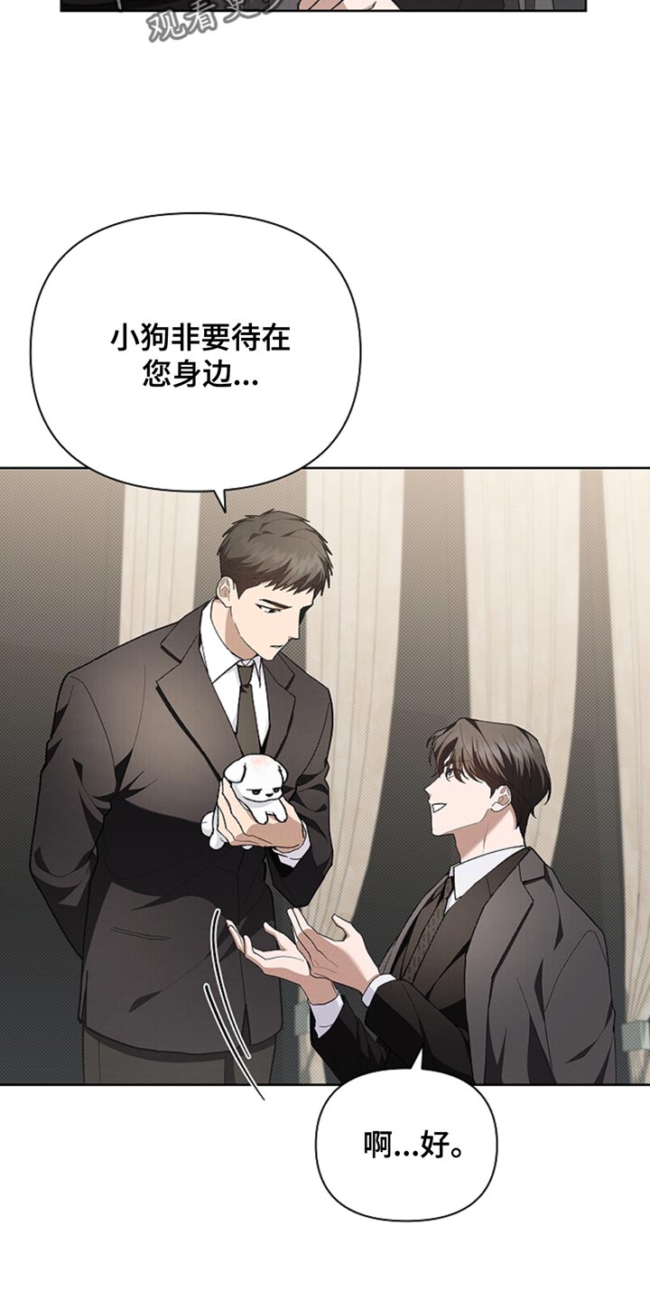 小白狗奇遇记权西城漫画,第30章：别垂头丧气3图