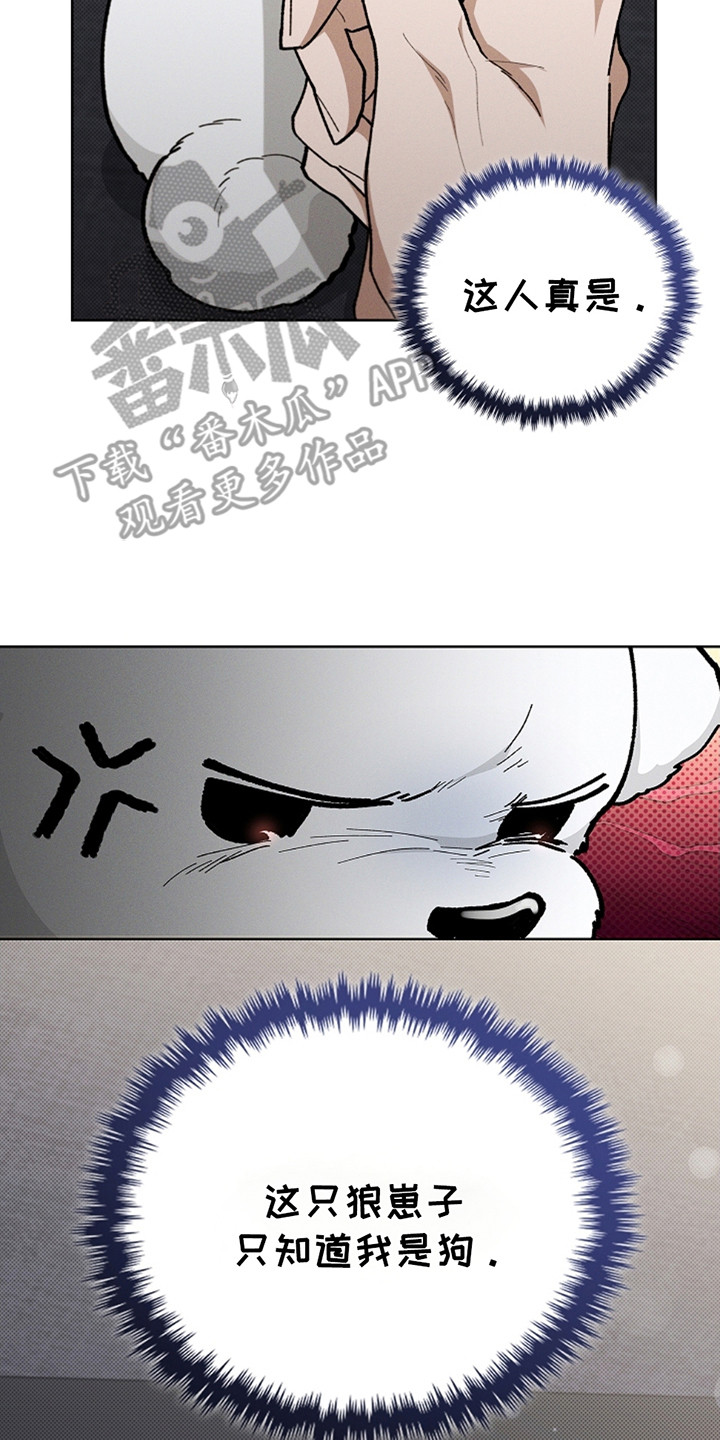 漫蛙漫画app下载官方免费漫画,第13章：记仇5图