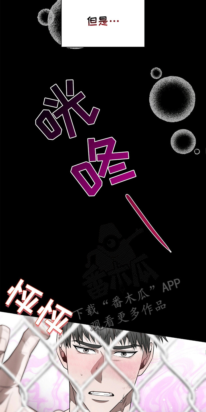阴谋债务漫画,第18章：陷入爱河3图