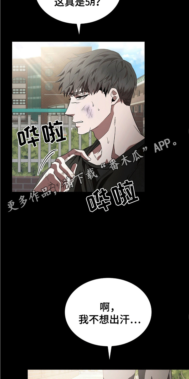 阴谋债务漫画,第17章：受伤3图