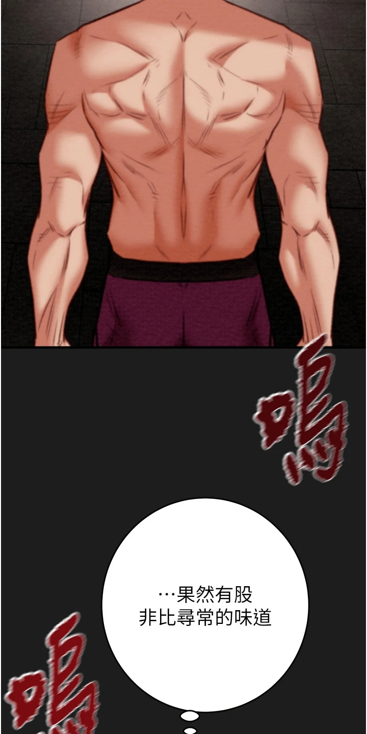 王者征途小程序漫画,第28章：寻找秘密3图