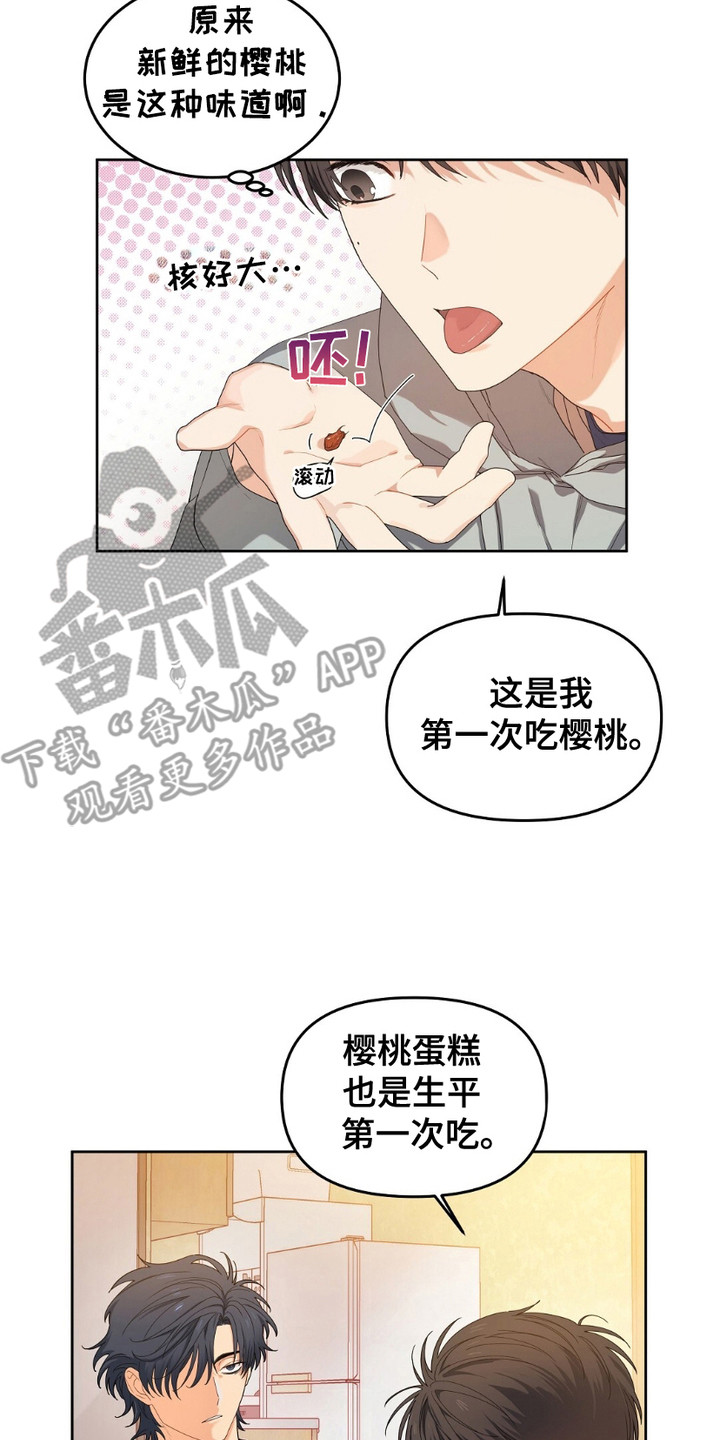 甜蜜的贿赂漫画,第12章：樱桃蛋糕4图