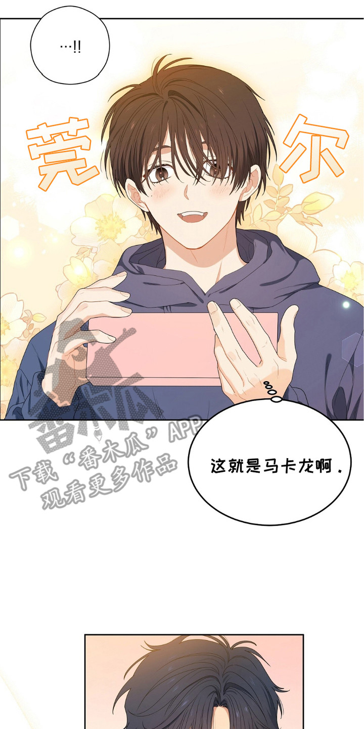甜蜜的贿赂漫画,第8章：马卡龙2图