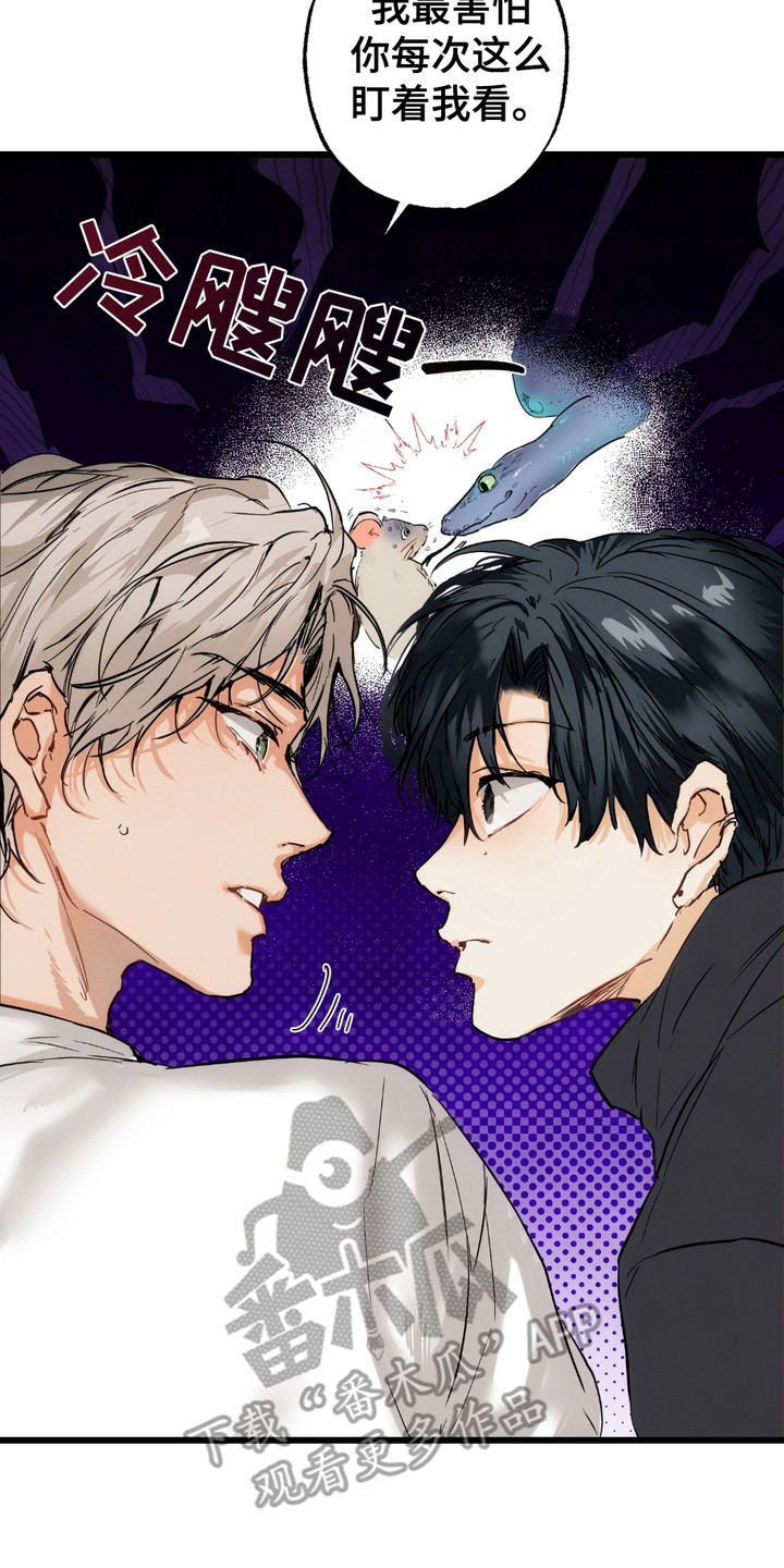恶魔在摇滚漫画,第7章：盯着看3图