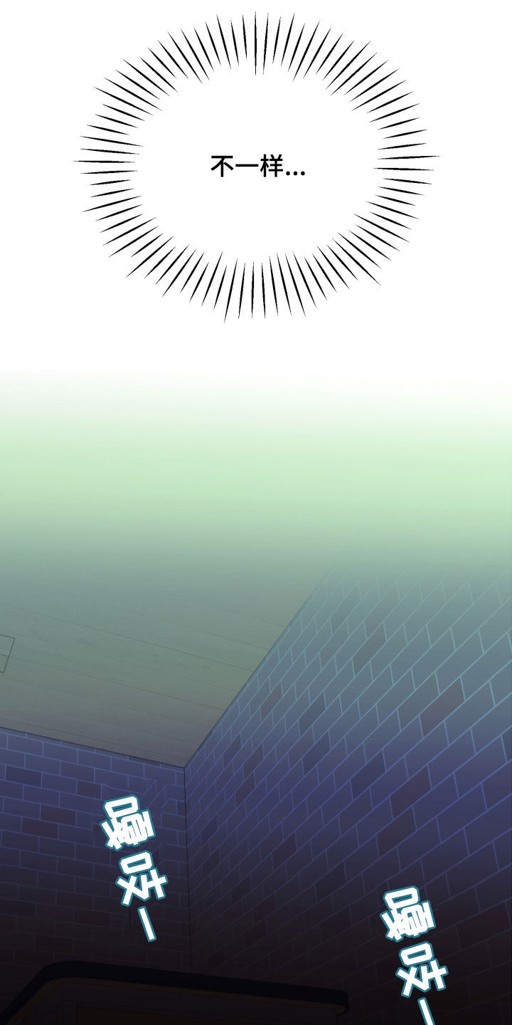 我的小笨熊漫画,第13章：不一样1图