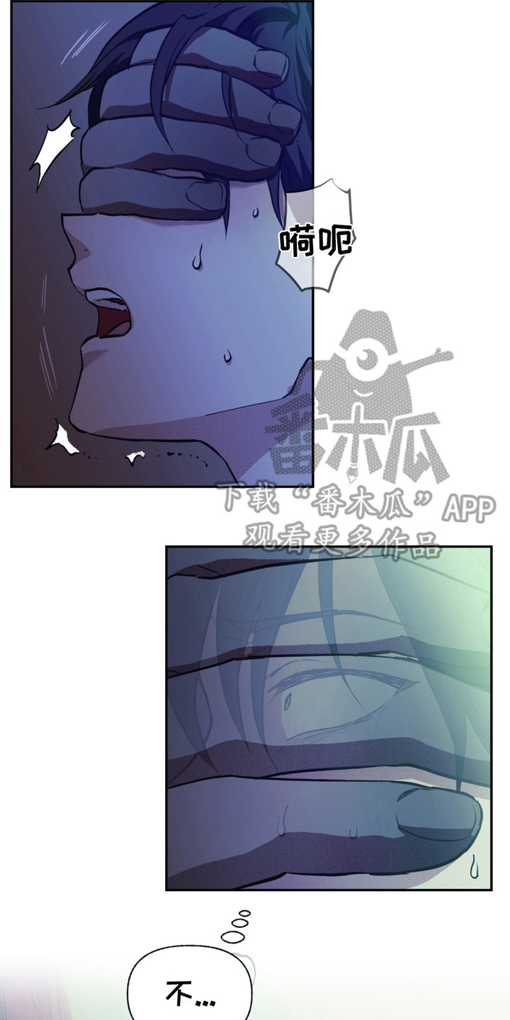 我的小笨熊漫画,第11章：黑手1图