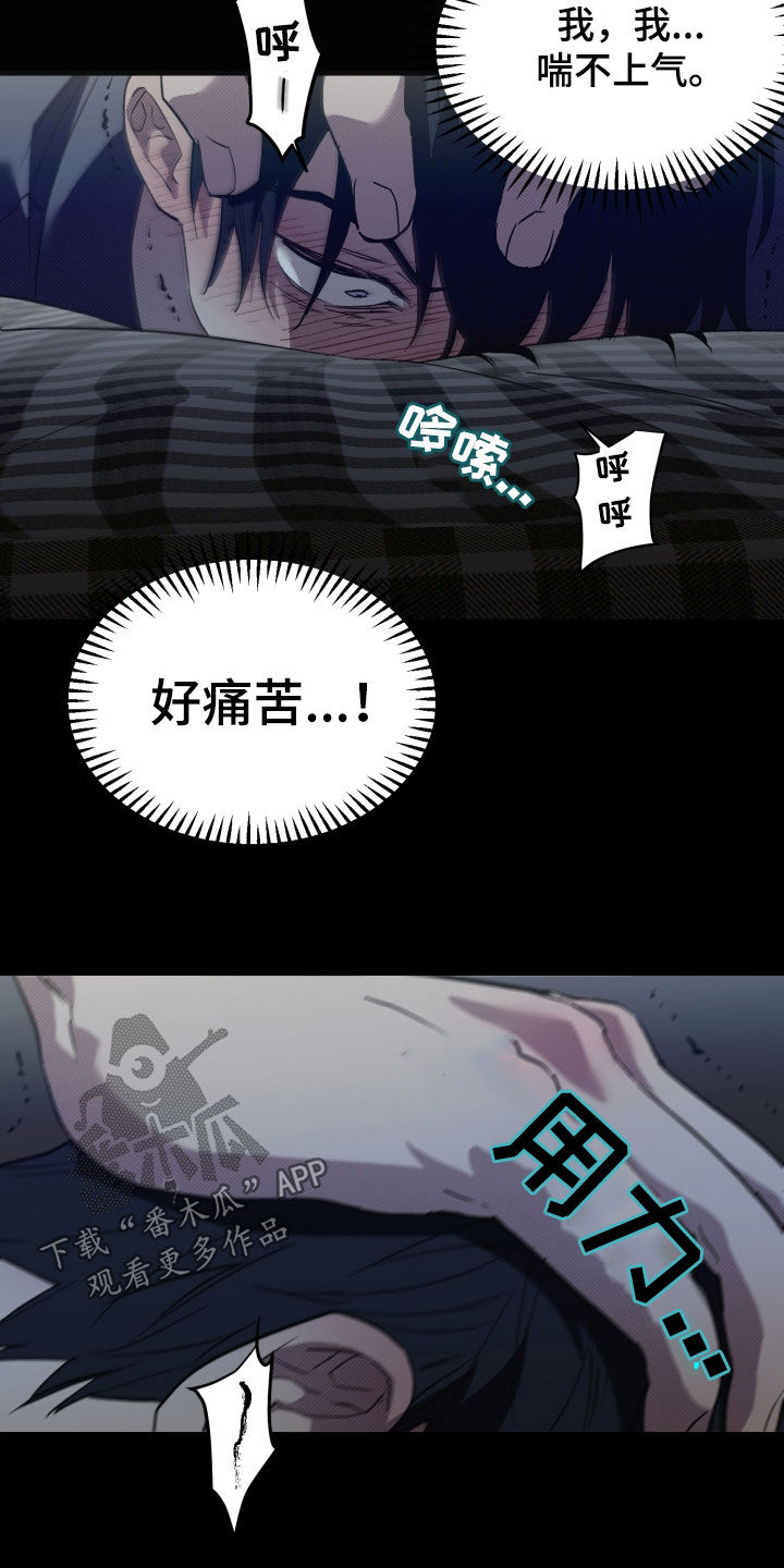 我的小笨熊漫画,第16章：要死了3图