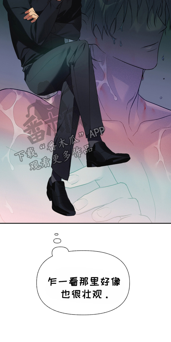 我的小笨熊漫画,第4章：很淡定4图